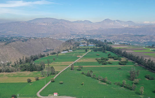 alimentos san luis